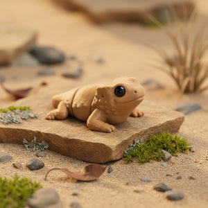 Baby Bearded Dragon