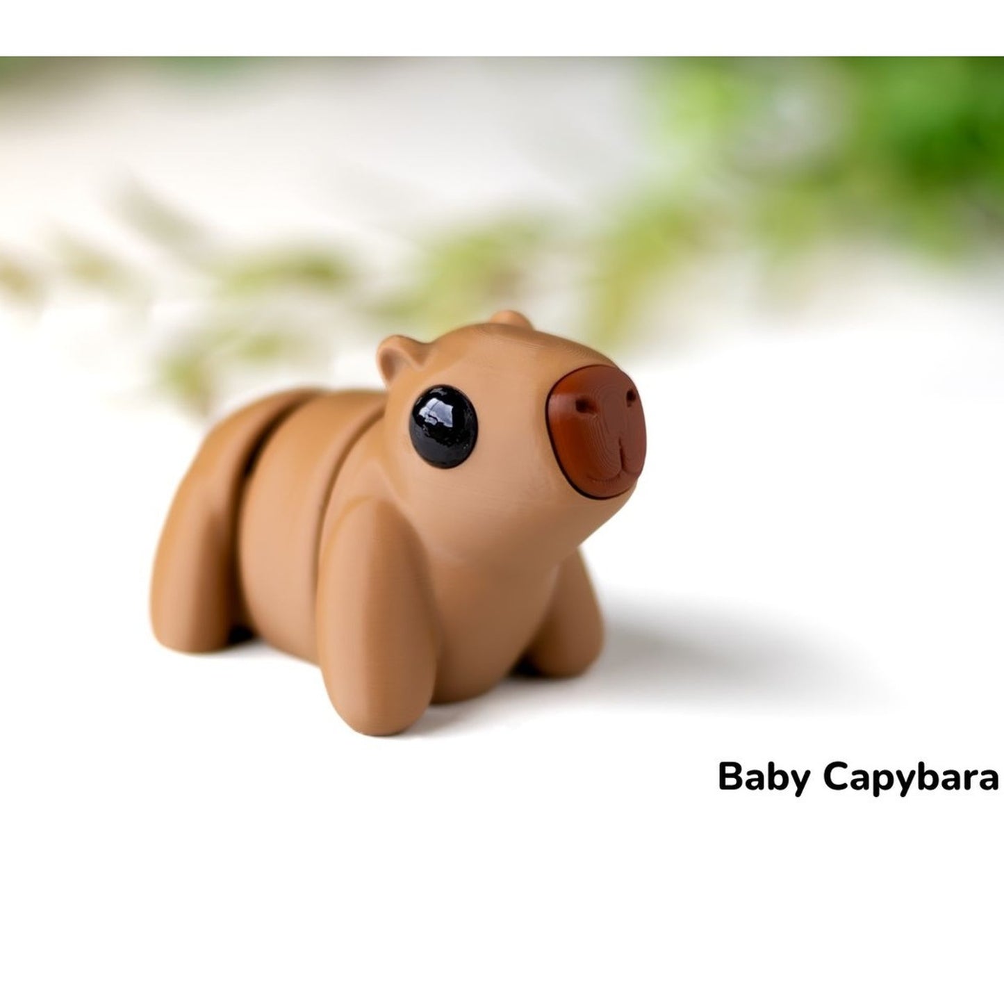 Baby Capybara alternate view 2