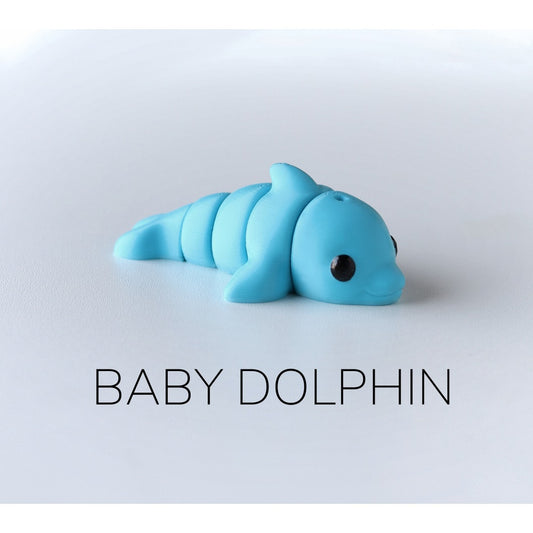 Baby Dolphin alternate view 2