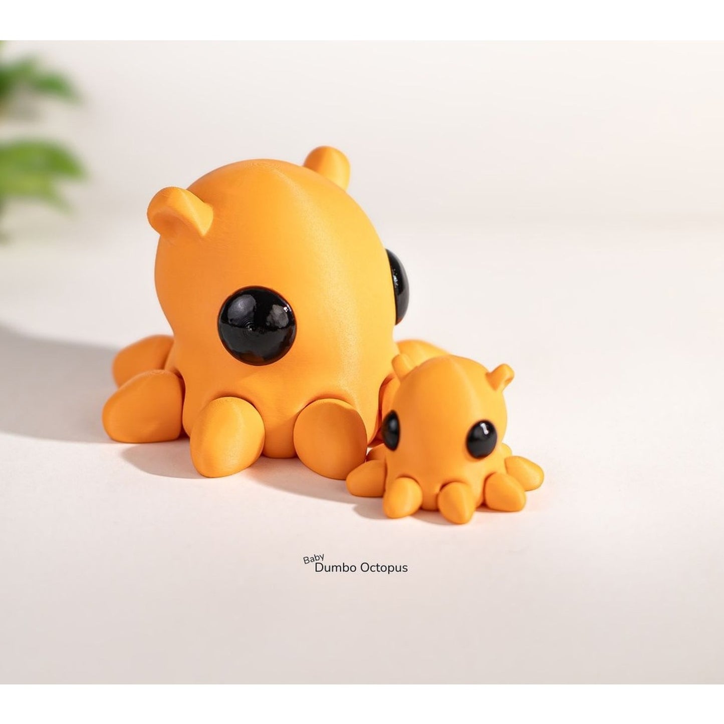 Baby Dumbo Octopus alternate view 6