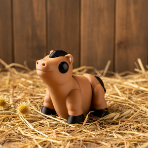 Baby Horse