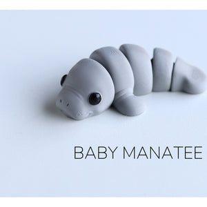 Baby Manatee