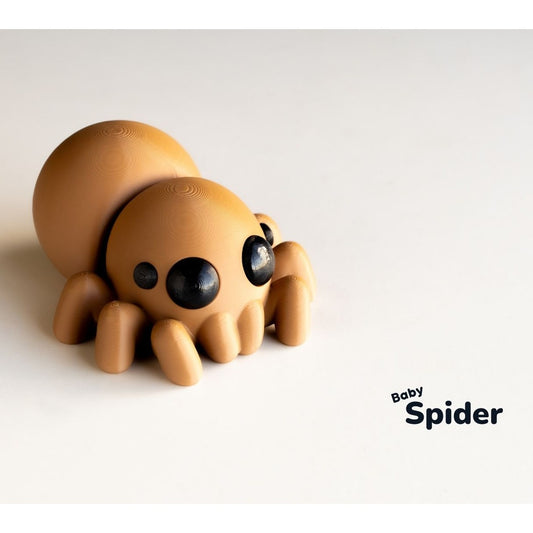 Baby Spider alternate view 2