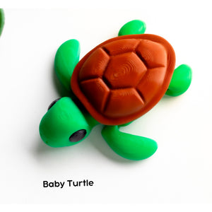 Baby Turtle