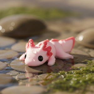 New Baby Axolotl