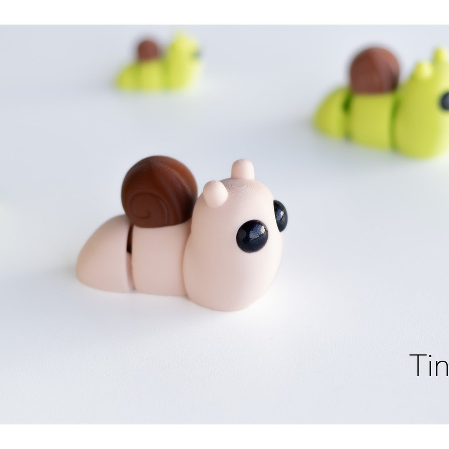 Tiny Snail alternate view 4