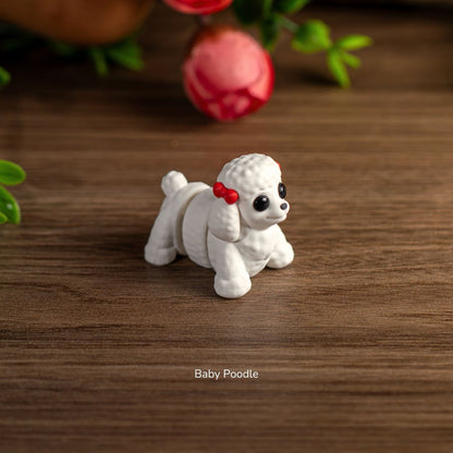 Baby Poodle alternate view 4