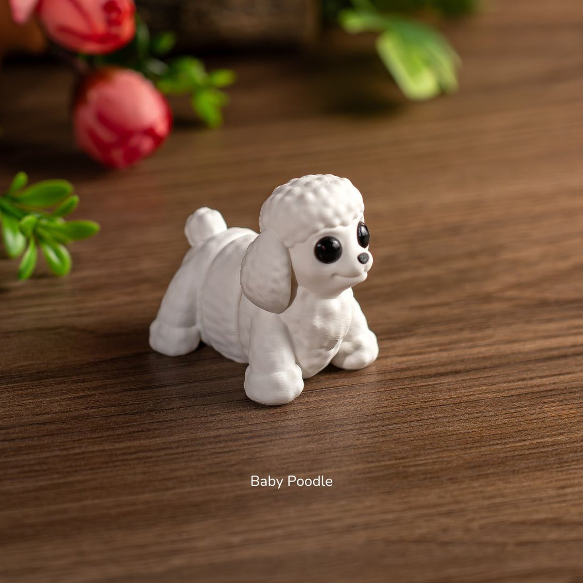 Baby Poodle alternate view 5