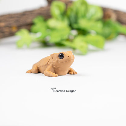 Baby Bearded Dragon alternate view 4