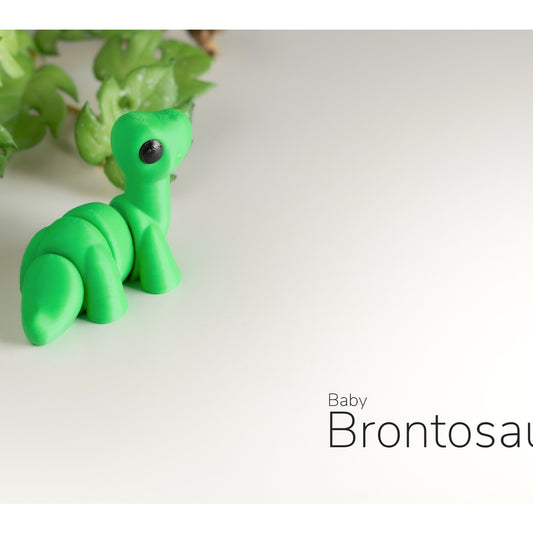 Baby Brontosaurus alternate view 2