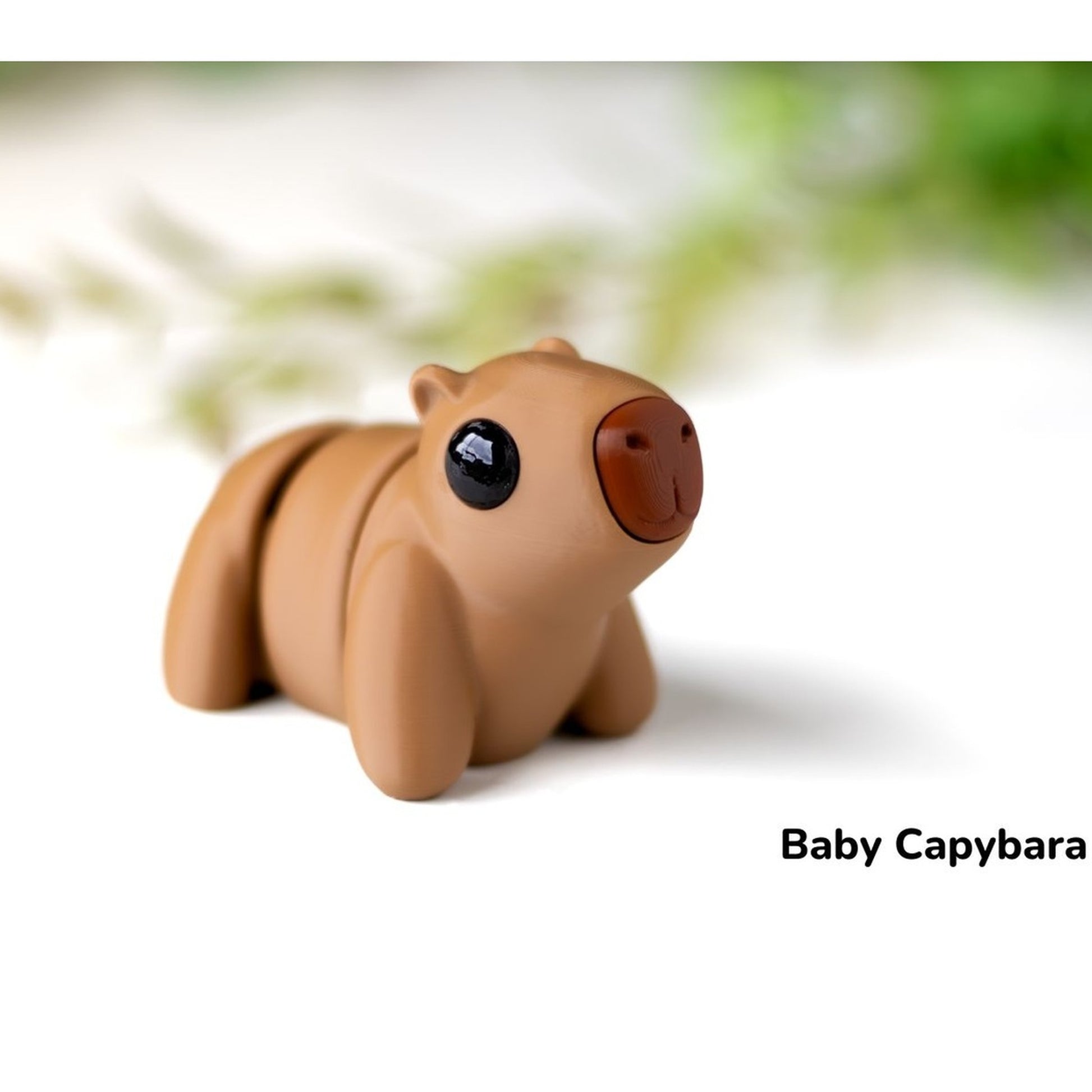 Baby Capybara alternate view 2