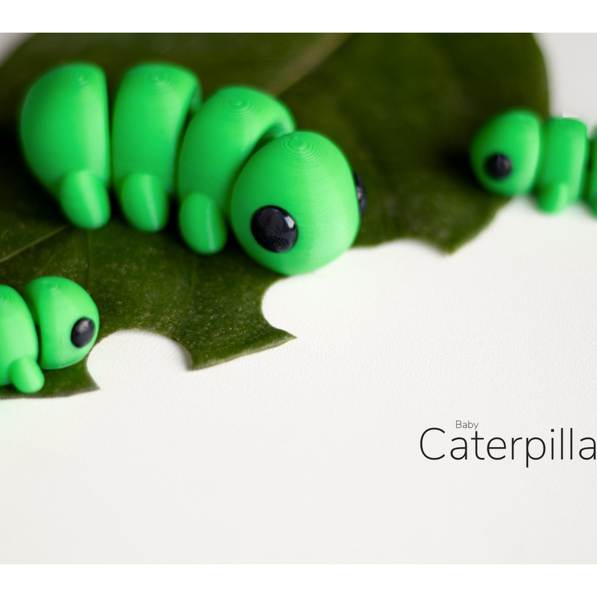 Baby Caterpillar alternate view 3