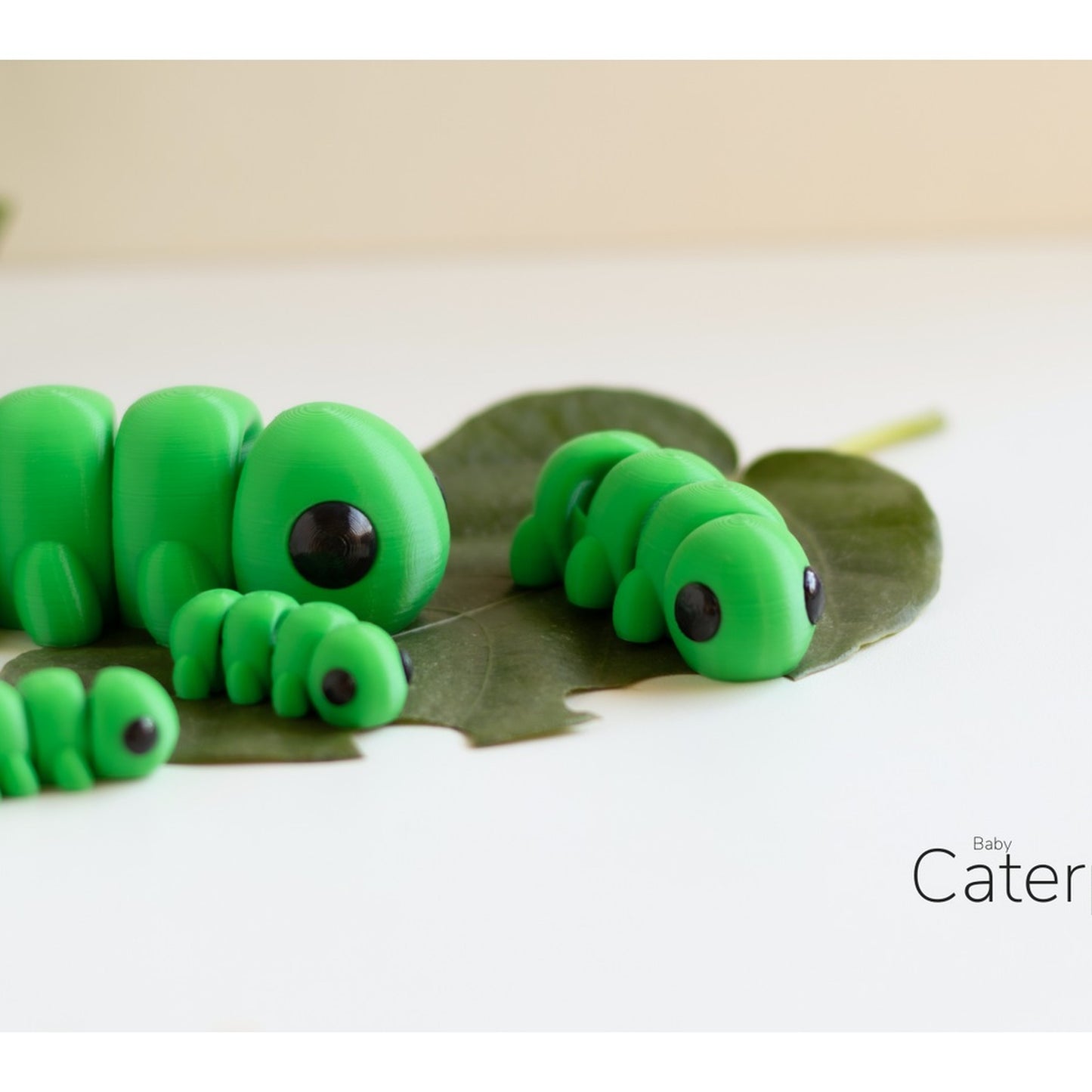 Baby Caterpillar alternate view 5