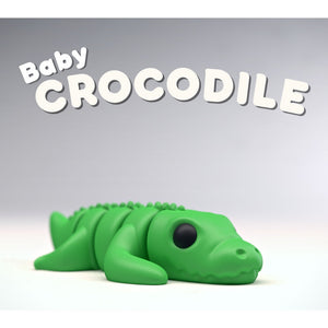 Baby Crocodile