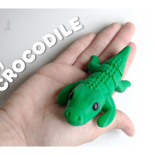 Baby Crocodile alternate view 2