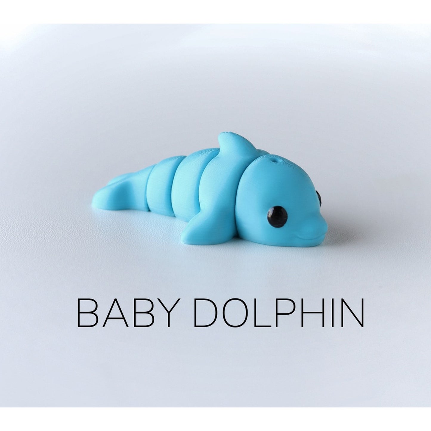 Baby Dolphin alternate view 2