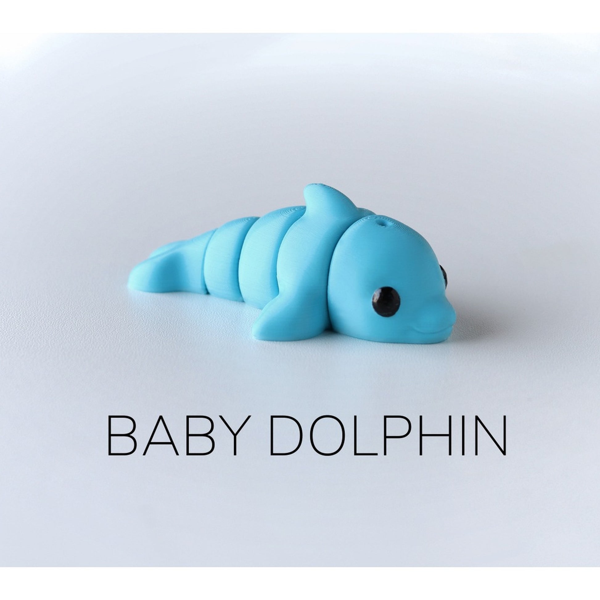 Baby Dolphin alternate view 2