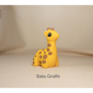 Baby Giraffe