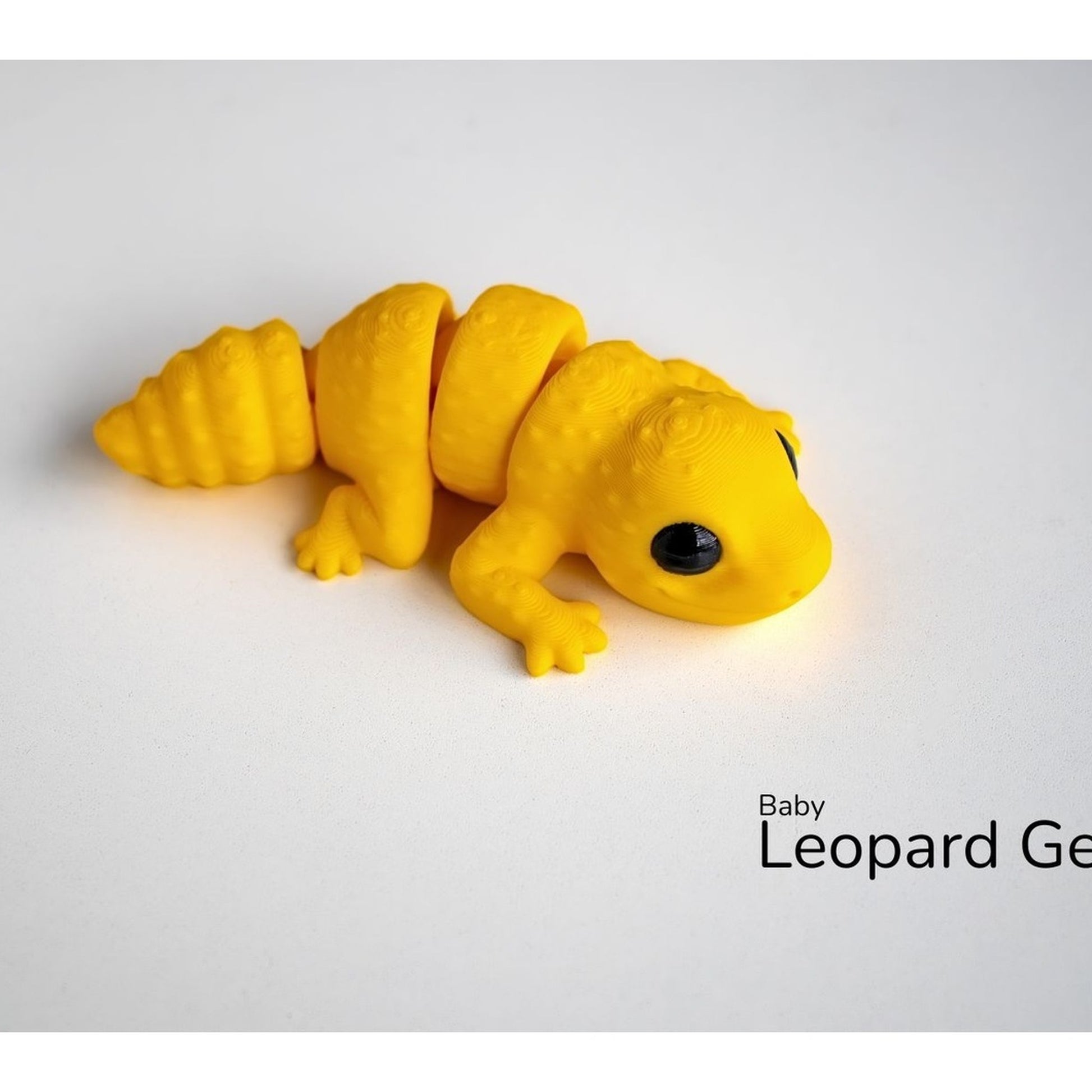 Baby Leopard Gecko alternate view 2