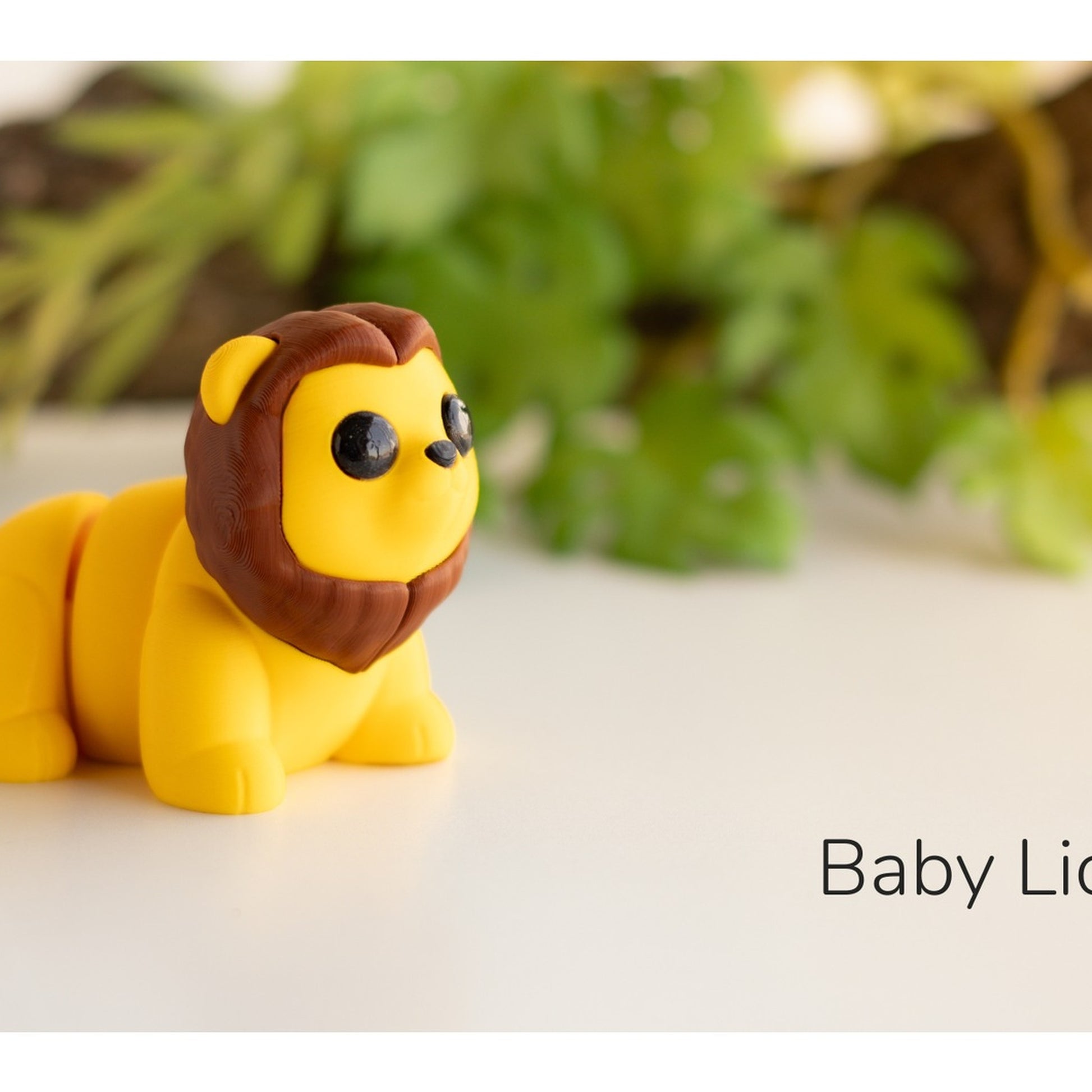 Baby Lion alternate view 2