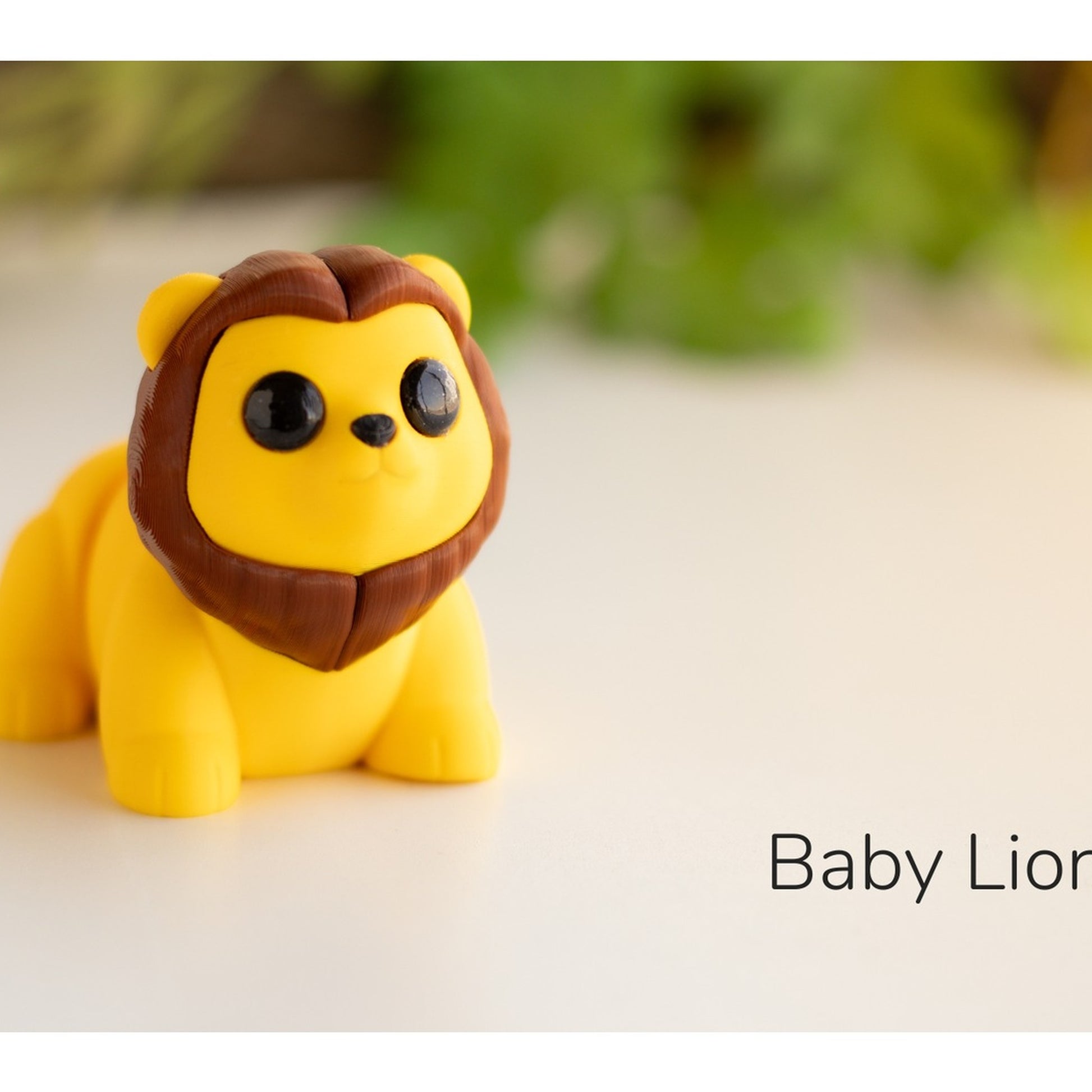 Baby Lion alternate view 3