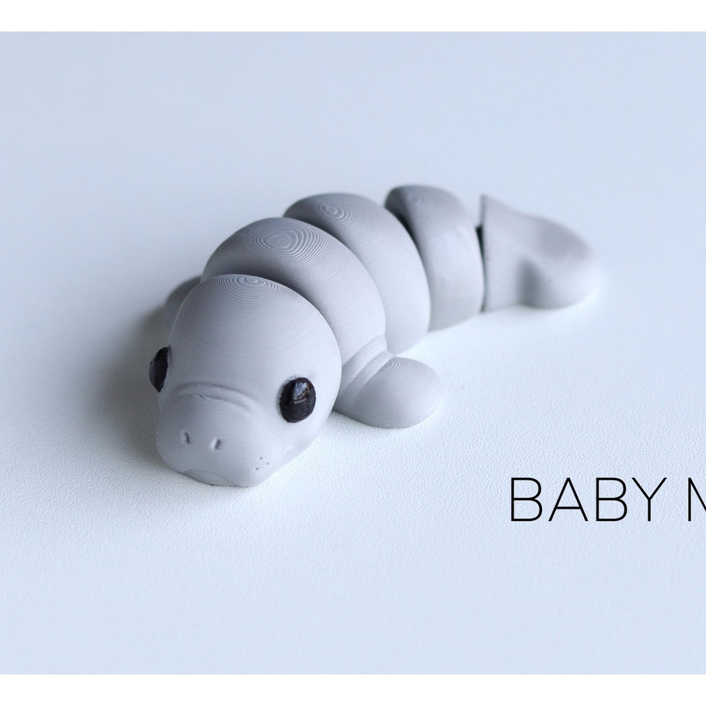Baby Manatee alternate view 2
