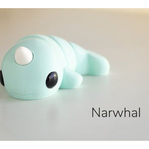 Baby Narwhal