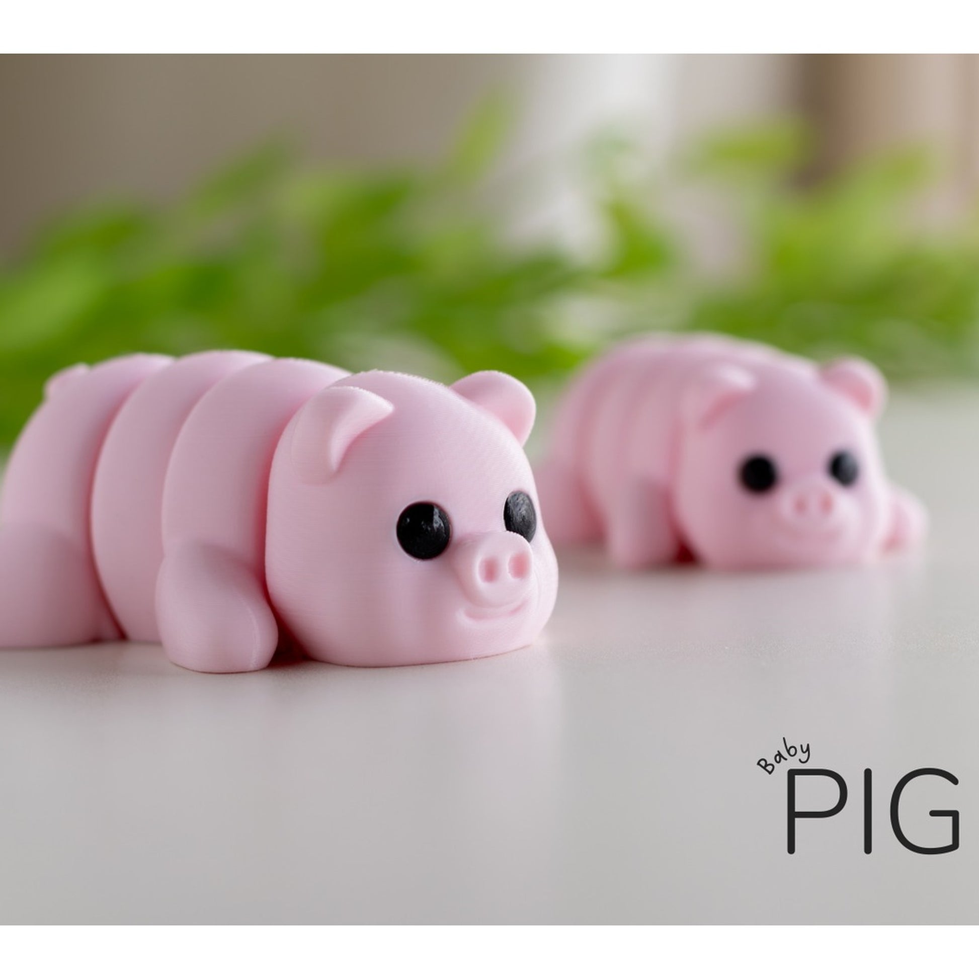 Baby Pig alternate view 4