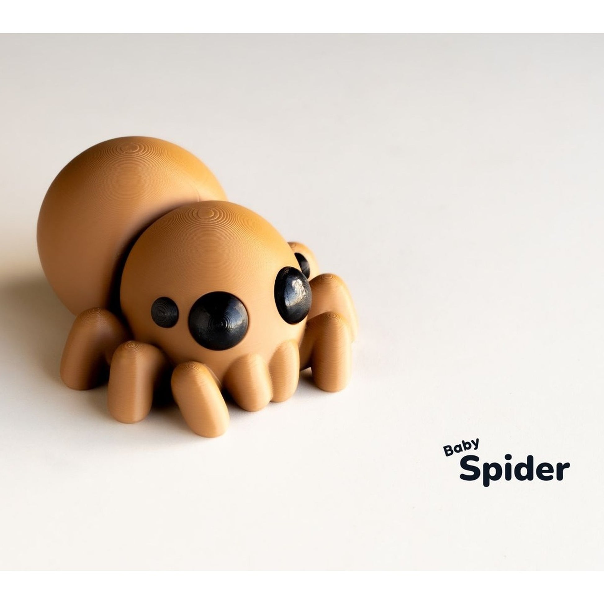 Baby Spider alternate view 2