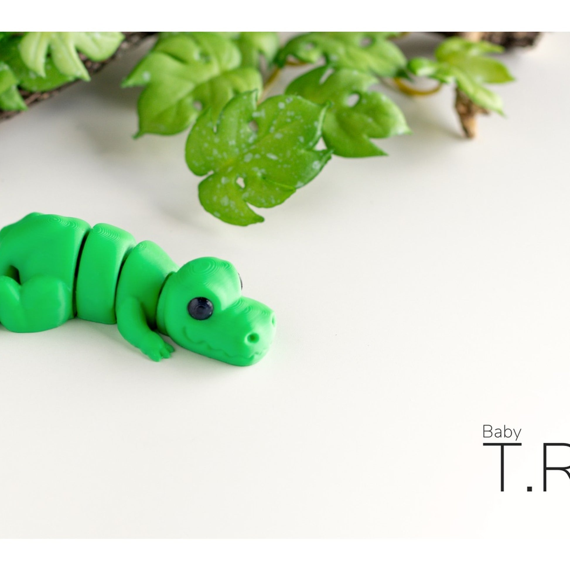 Baby Trex alternate view 2