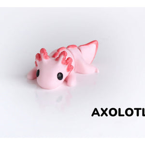 New Baby Axolotl